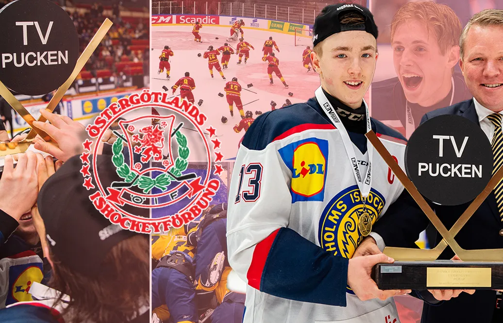 TV-pucken 2024: Östergötland – kommentarer om ALLA spelare