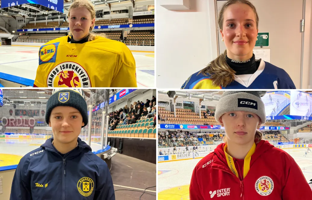 Experterna: Tjejerna som tar plats i TV-puckens drömfemma