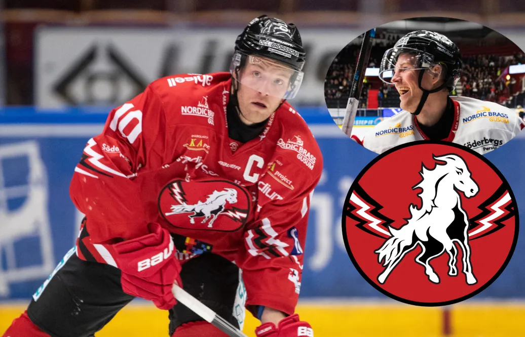 Jesper Samuelsson är spelare, sportchef och assisterande tränare i Vita Hästen