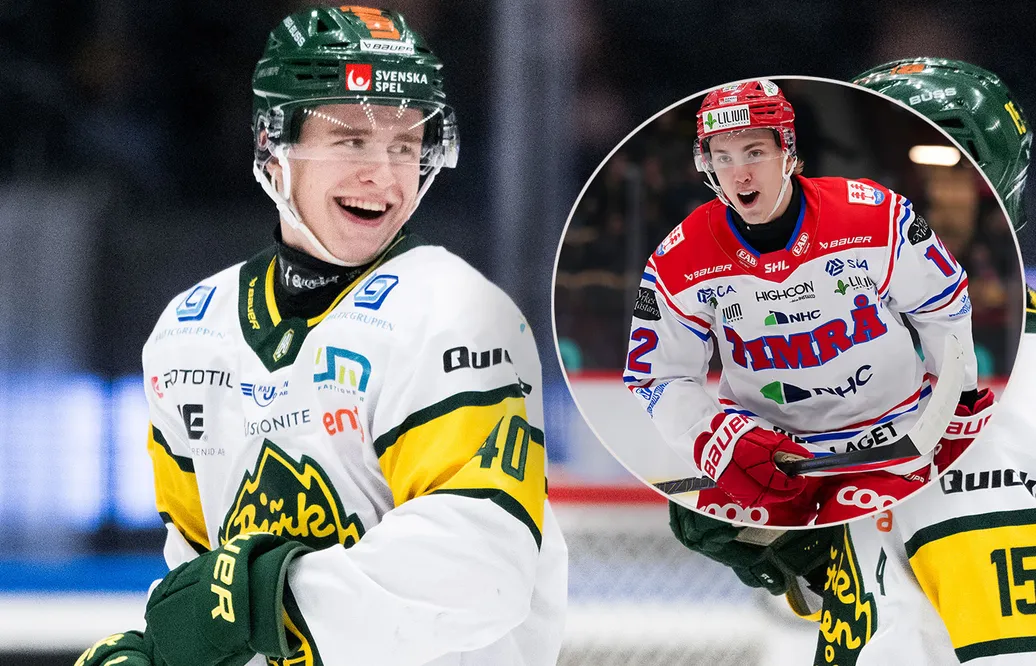 Så valde Freij Timrå: "Fick bra tips av honom"