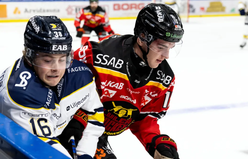 Joel Kant lånas ut till Piteå i Hockeyettan