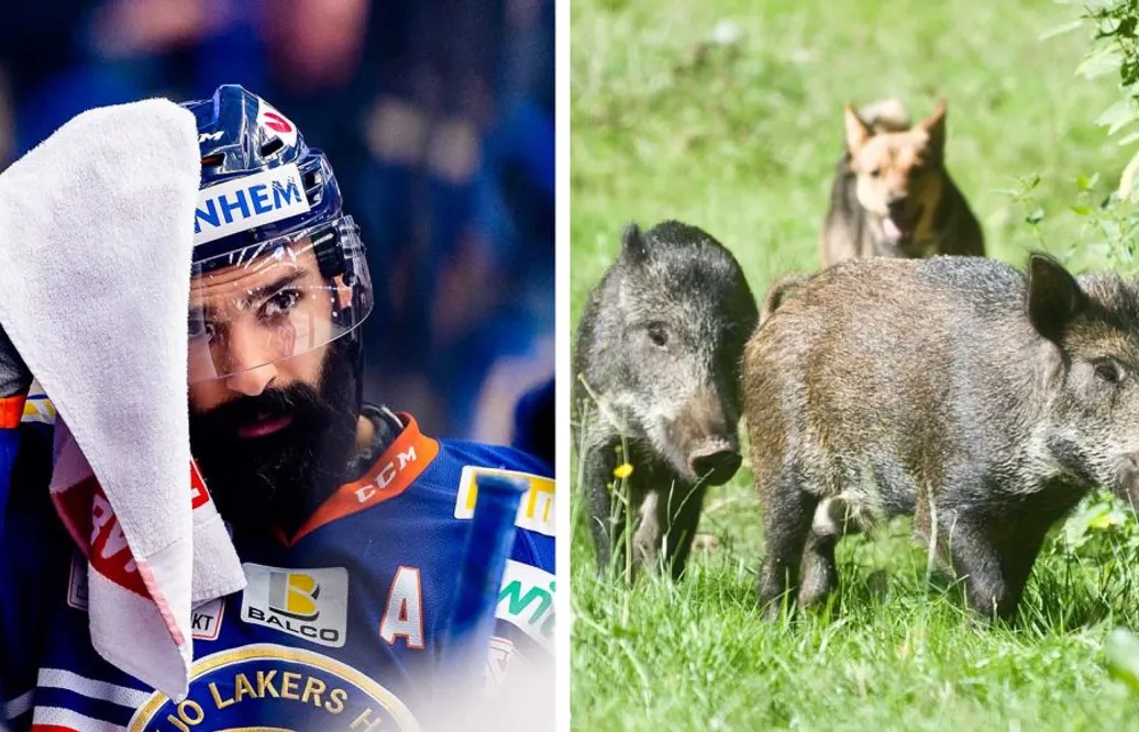 SHL-stjärnan i trafikolycka – efterlyser hjälten: ”Ge honom en kram”