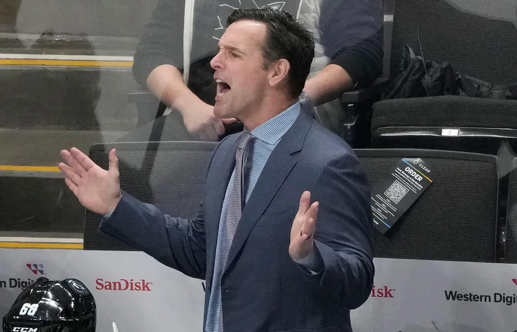 San Jose Sharks sparkar David Quinn