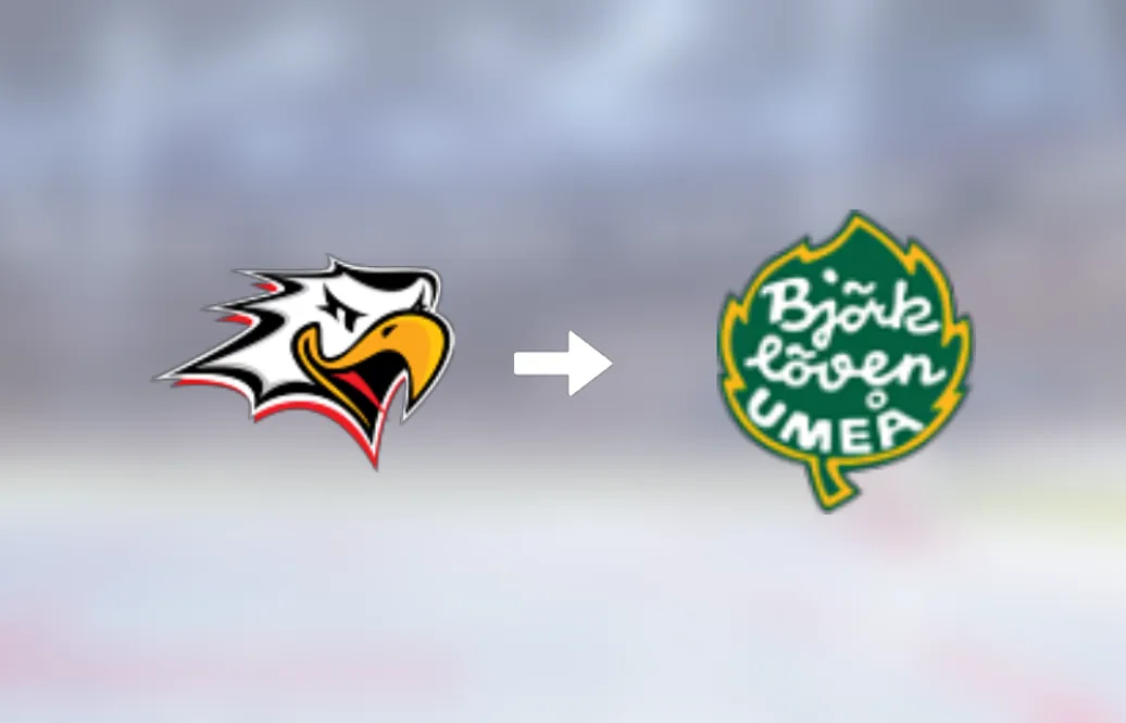 IF Björklöven värvar backen Tyler Nanne från Sport