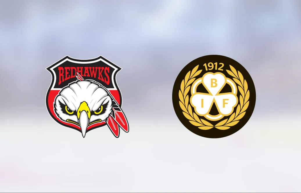 Theo Lindstein och Dmytro Timashov matchvinnare när Brynäs besegrade Malmö