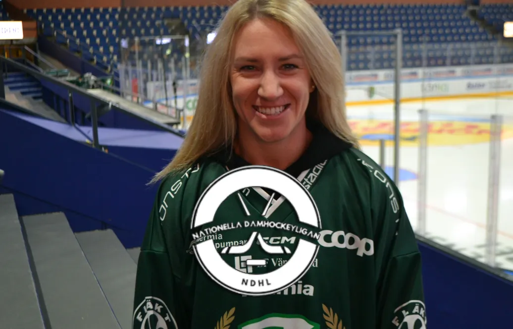 Det hetaste från NDHL + höstens All Star-lag