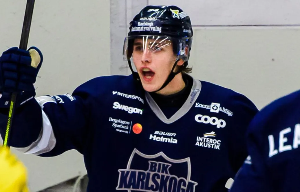 Skellefteå värvar poängspruta från allsvenskan