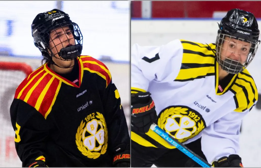 Erbjöds förlängning - men stjärnorna lämnar Brynäs