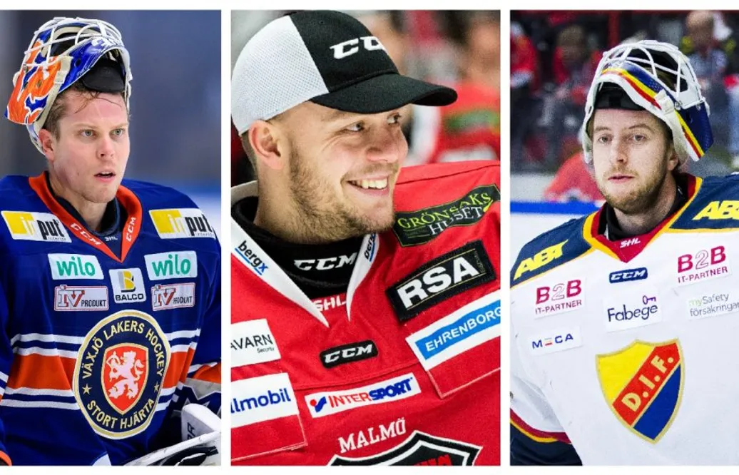 De kan bli säsongens målvakt på SHL Awards