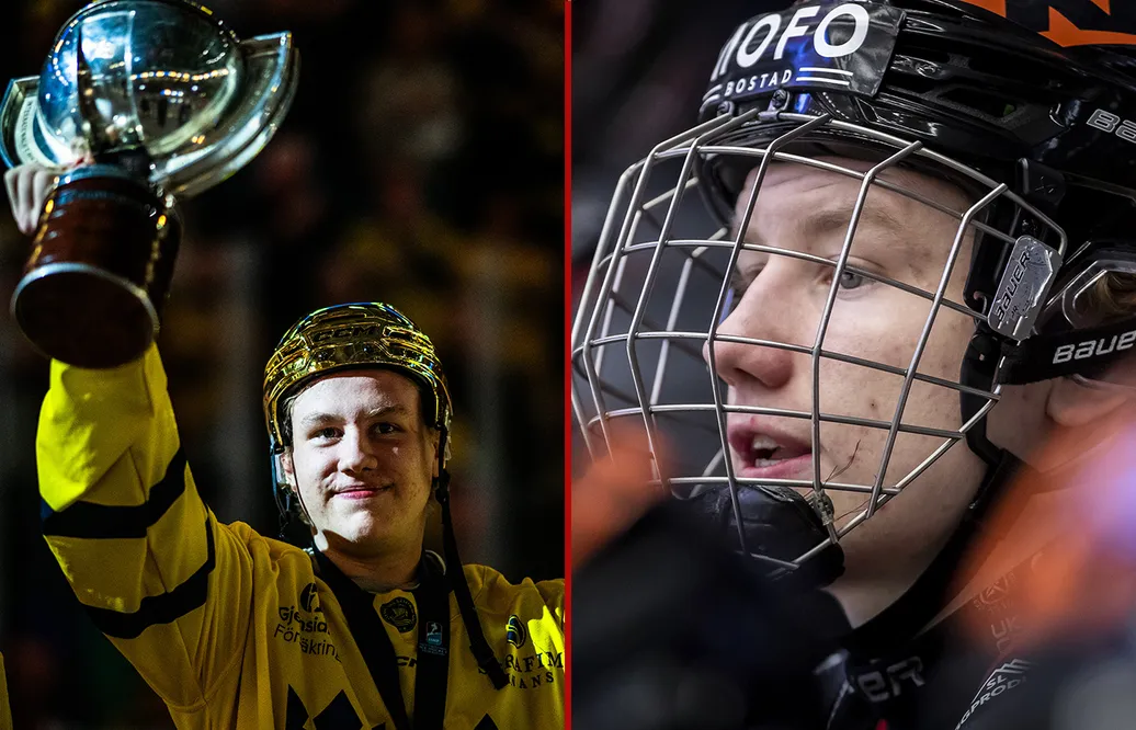 Småkronornas guldkapten skriver SHL-kontrakt