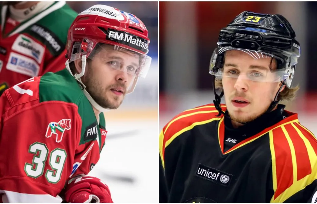 Chicago-svenskarna nedskickade till AHL