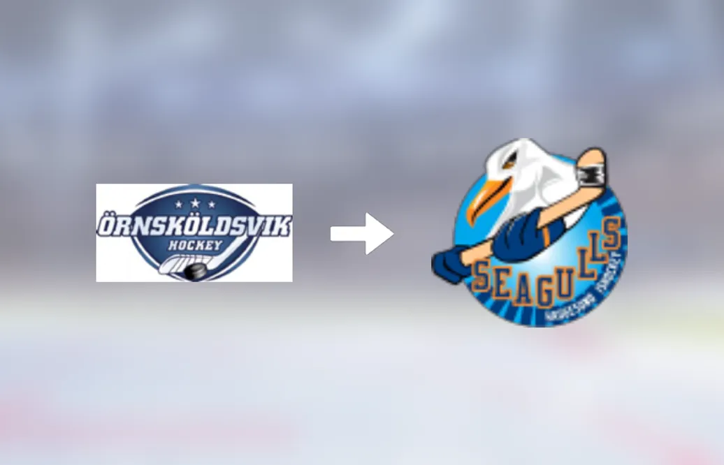 Haugesund Seagulls värvar forwarden Richard Warging från Örnsköldsvik HF
