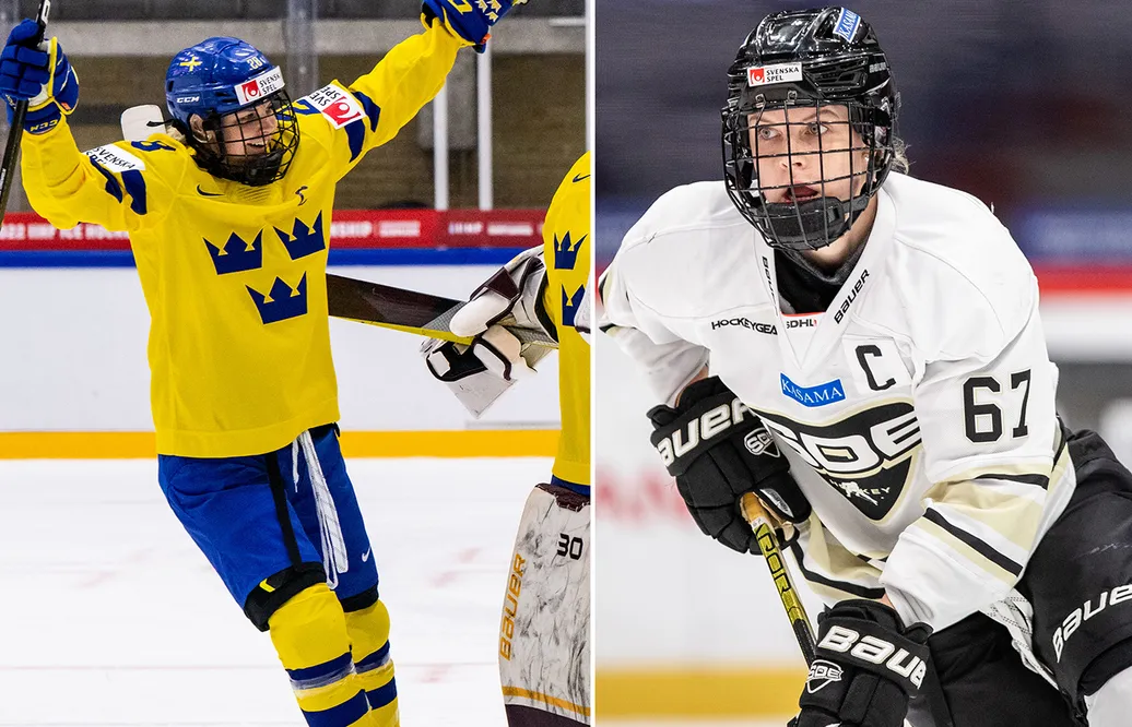 SDHL: Michelle Löwenhielm blir kvar i SDE