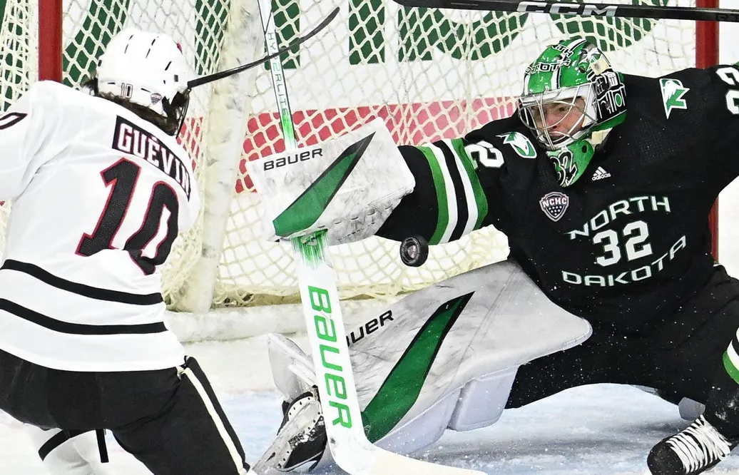 Brynäs värvar Ludvig Persson från NCAA