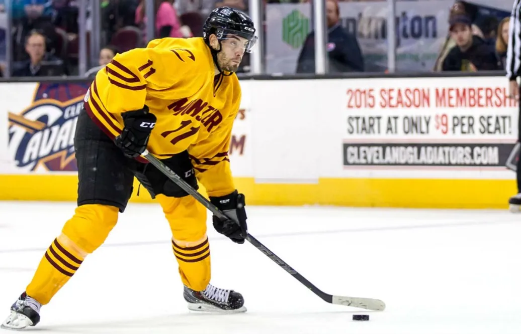 AIK värvar från AHL och Färjestad