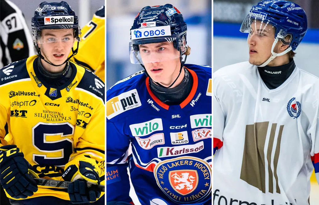 MJÖRNBERG: De unga poängsprutorna som ska ta Hockeyettan med storm