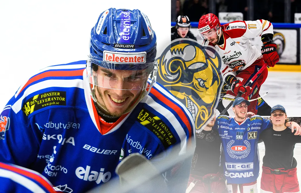 Joakim Thelin gör comeback i svensk hockey.
