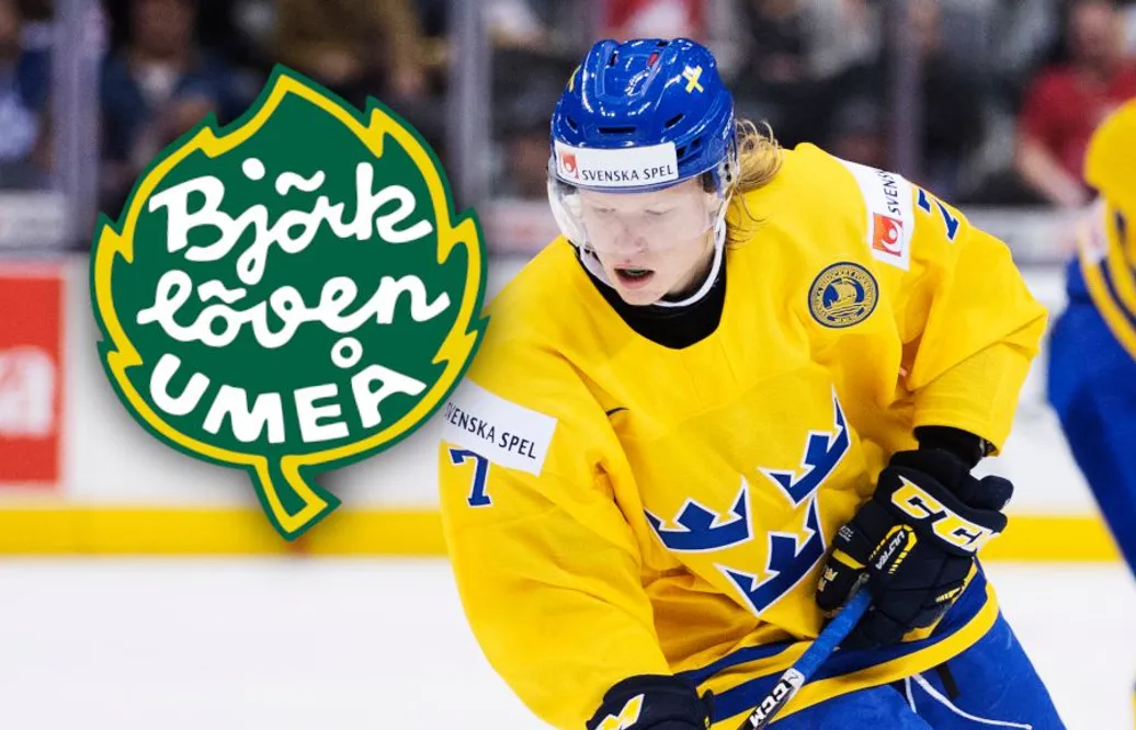 Klart: JVM-meriterade backen till Björklöven