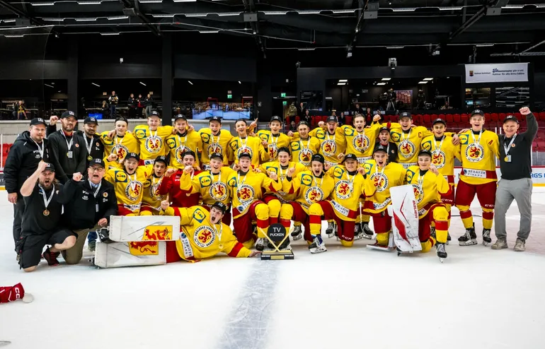 Smålands guldlag: Kommentarer om ALLA spelare