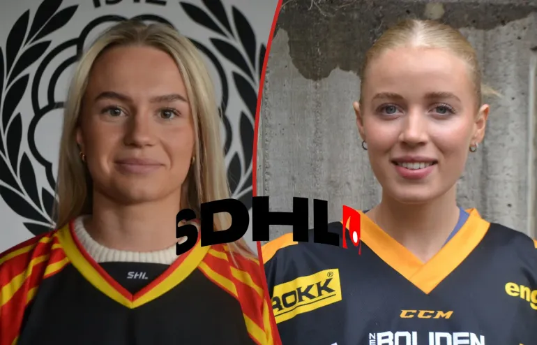 SDHL:s Silly season – så är läget i klubbarna