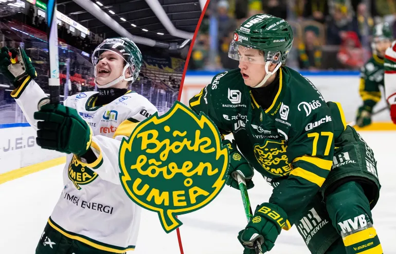 Hävelid om Björklövens succéjunior: "Verkligen stuckit ut"