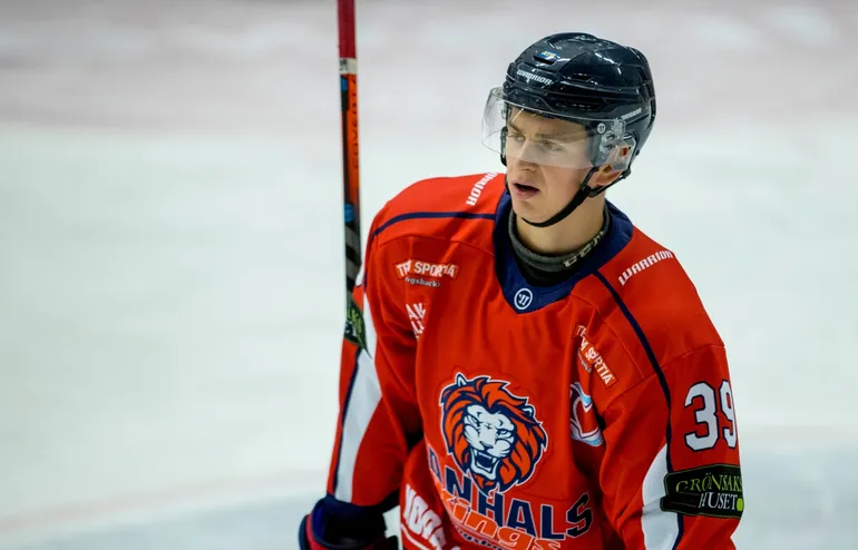 Svenske doldisen får chansen i AHL