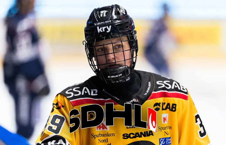 SDHL-veckan: "Lägg det namnet på minnet"