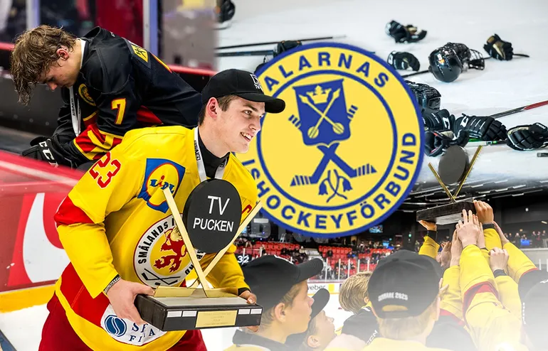 Dalarna - kommentarer om ALLA spelare
