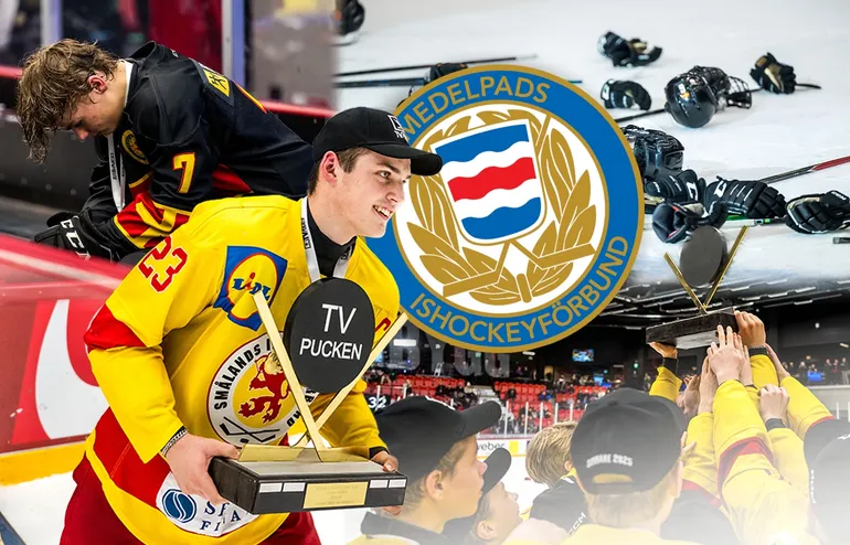 Medelpad – kommentarer om ALLA spelare