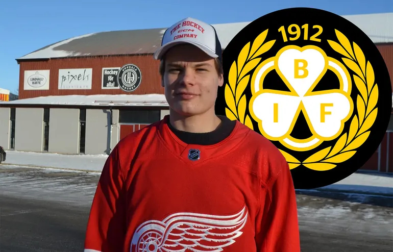 Forwardslöftet blir Brynäs första nyförvärv: "En dröm"