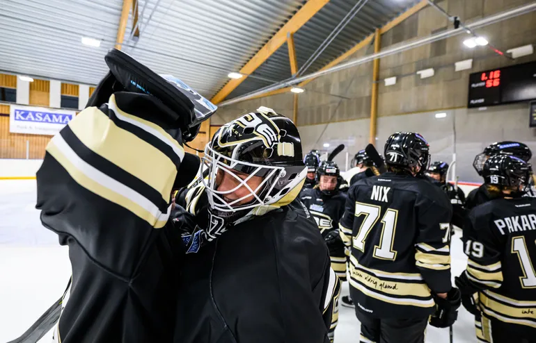 Seger för SDE mot Skellefteå AIK på bortaplan