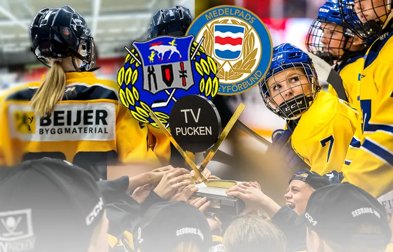 Jämtland-Härjedalen/Medelpad – kommentarer om ALLA spelare