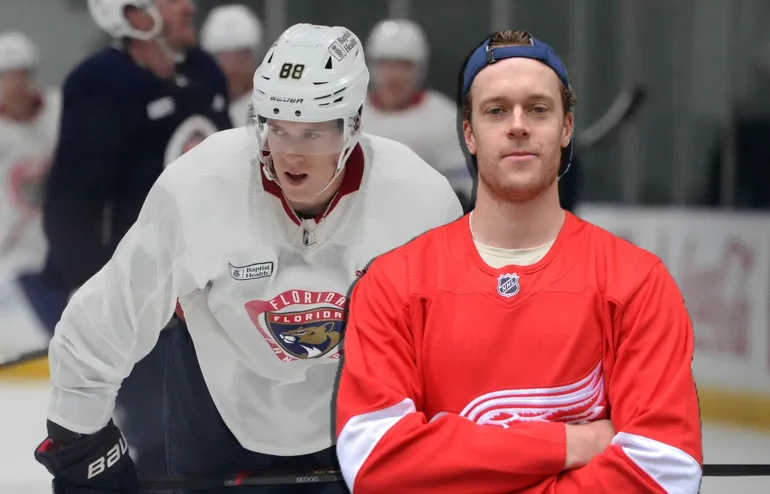 Wilmer Skoog bytte Florida mot Detroit under free agency.