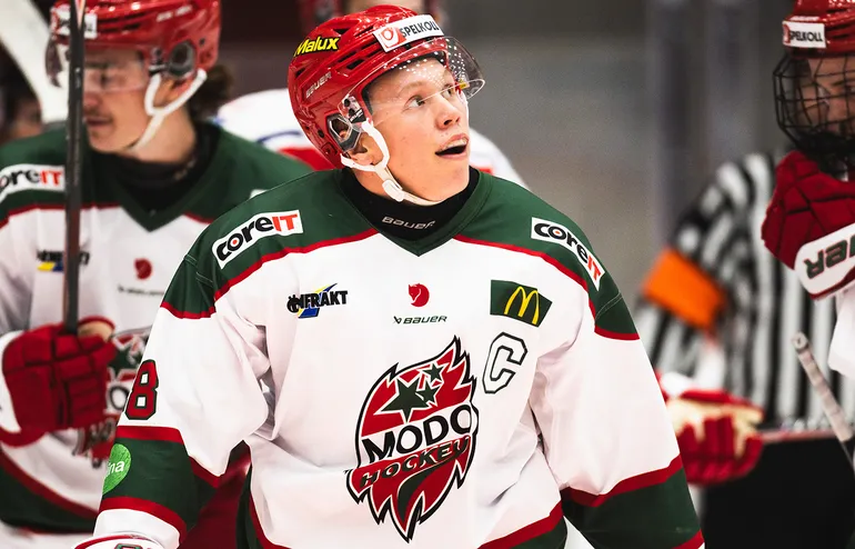 Felix Wassberg är en av två spelare att gå från MoDo till Halmstad.