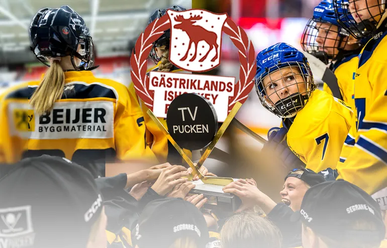 Gästrikland – kommentarer om ALLA spelare