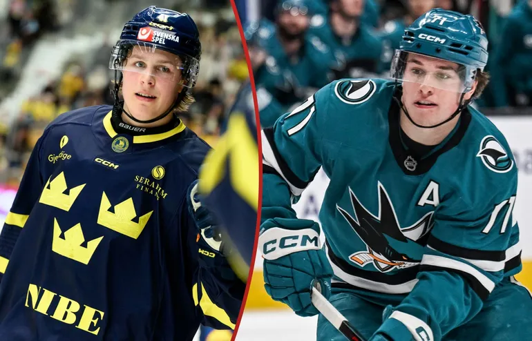 Jämför Stenberg med superstjärnan: "Likheter med Celebrini"