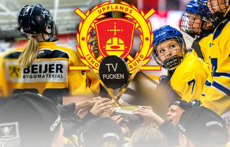 TV-pucken: Kommentarer om ALLA spelare – Uppland