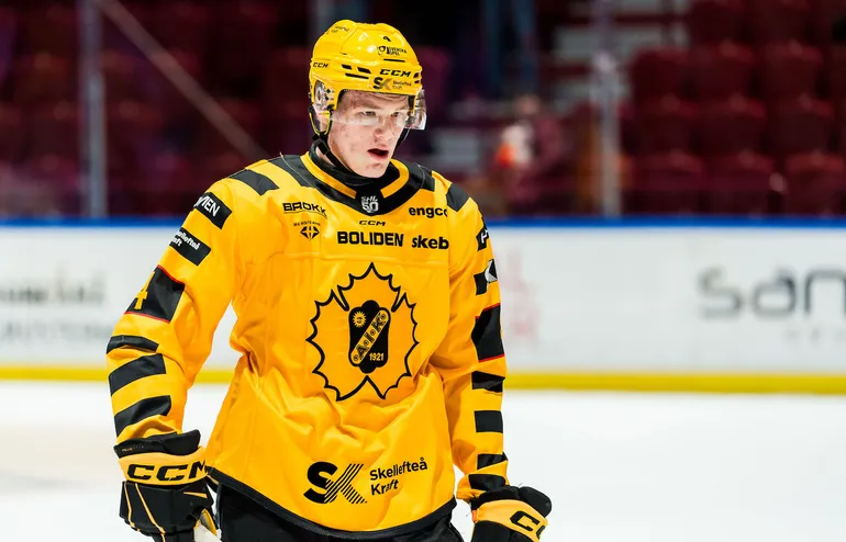 SHL-backen lånas ut till Hockeyallsvenskan