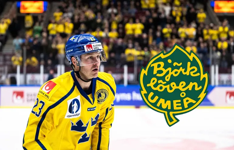 Landslagsstjärnans dröm – spel i allsvenska klubben