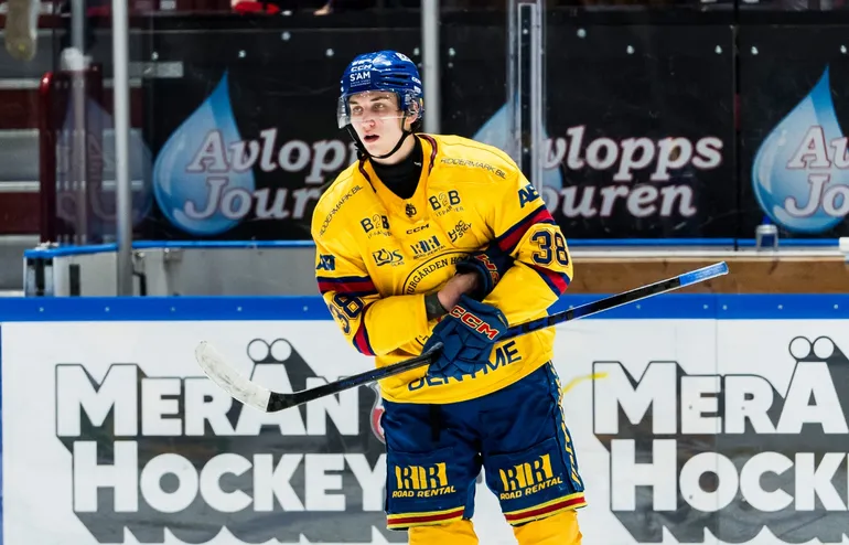 Eklund: "Kanske spelar i AHL nästa år"