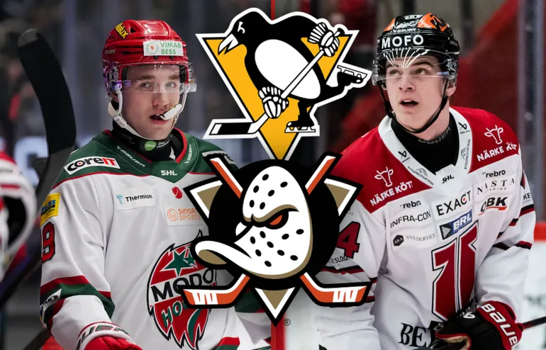 Skriver NHL-kontrakt – miljonbelopp till svenska klubbarna
