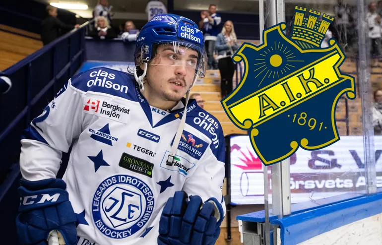 AIK lånar från Hockeyettan: "En hårt jobbande forward"