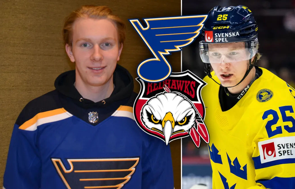 Otto Stenberg kallades tillbaka av St. Louis Blues under säsongen