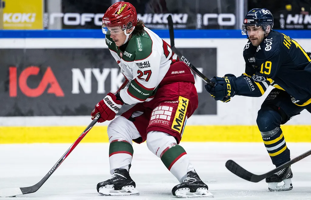 Sebastian Peter Skoog i Hockeyallsvenskan