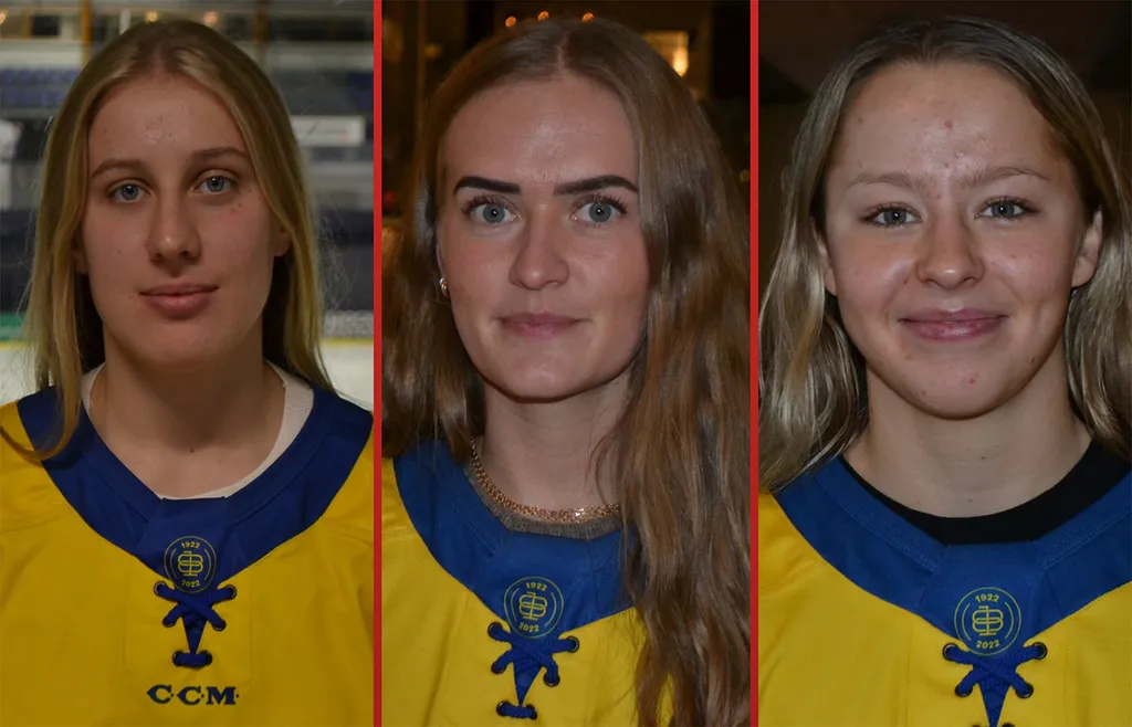 Sveriges målvaktstrio