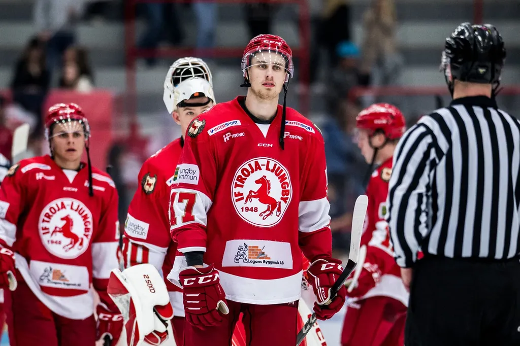 Emil Ekholm