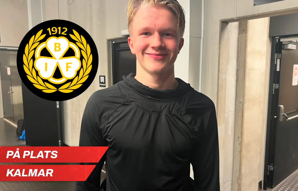 Joakim Dahl spelar i Brynäs nästa säsong