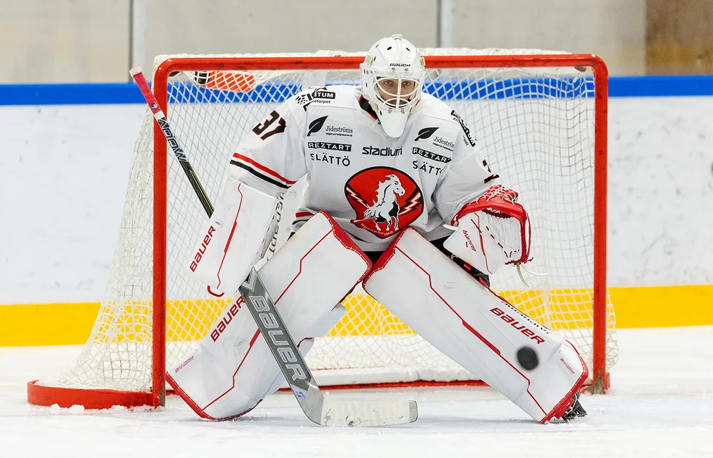 Daniel Fahlströms Vita Hästen är tillbaka i HockeyEttan