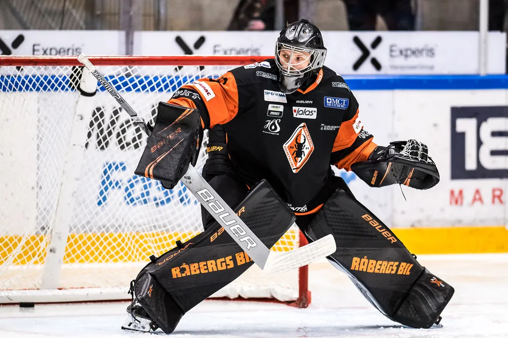 Arvid Ljung verkar inte särskilt sugen på en återkomst i Hockeyettan