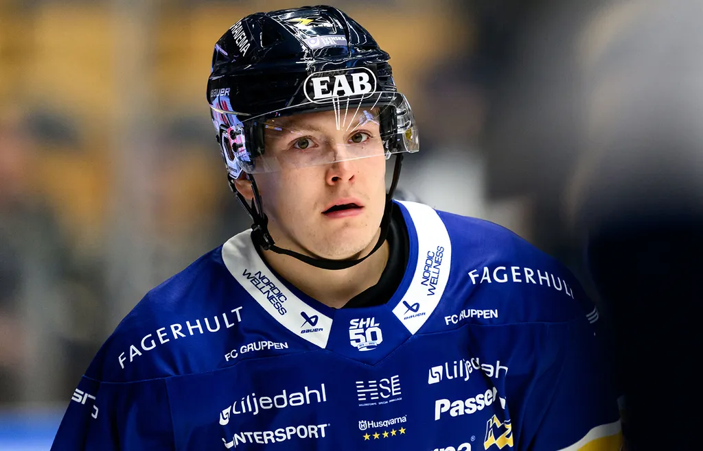 Eddie Levin. HV71.